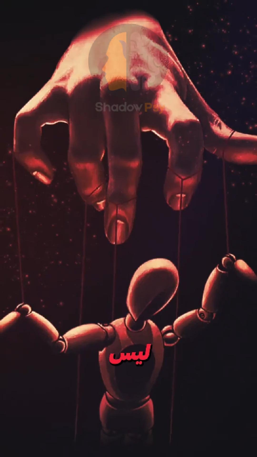 TikTok Video 2